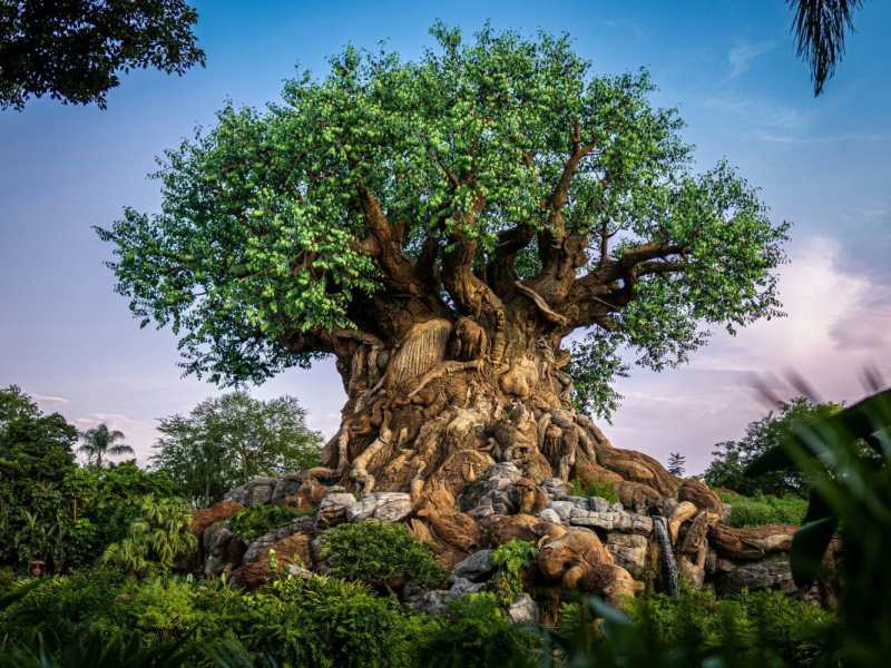 From Solar Power to Purple Martins: 3 Amazing Ways Disney is Celebrating Earth Day&nbsp;2026