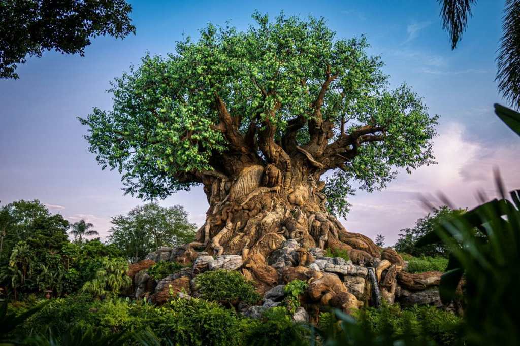 From Solar Power to Purple Martins: 3 Amazing Ways Disney is Celebrating Earth Day&nbsp;2026